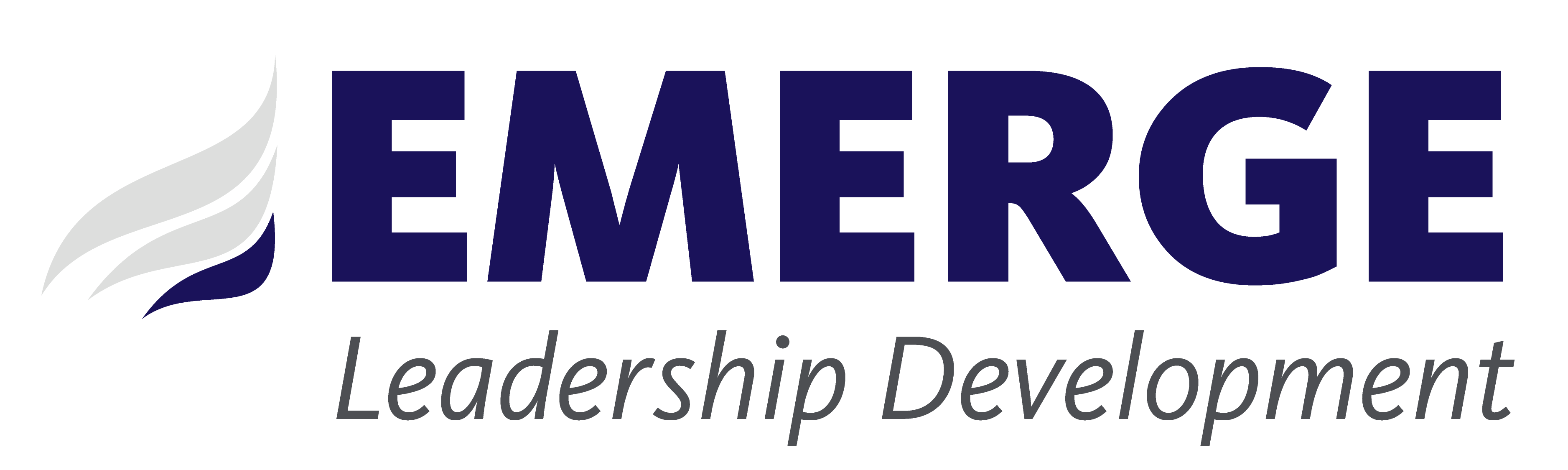 EMERGE Leadership Development